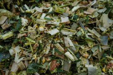 Close-up photo of corn silage, North China