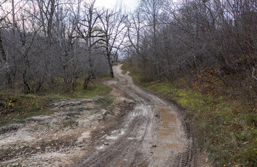 dirt road leading to the forest, autumn motif and the state of nature