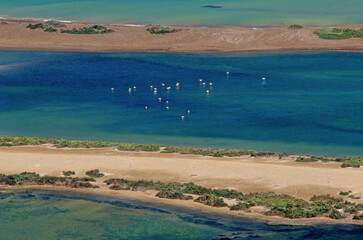 Saba island Zubair Group