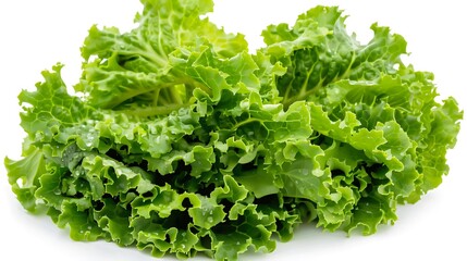Crisp green lettuce leaves displayed against a clean white backdrop, fresh and crisp for salads, wraps, and sandwiches.