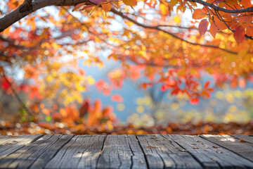 Naklejka na ściany i meble A wooden desk top with blurred background of maple tree with autumn foliage. Good for background 