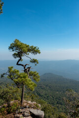The most beautiful Viewpoint Phu Kradueng National Park,Thailand.
