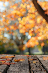 A wooden desk top with blurred background of maple tree with autumn foliage. Good for background 