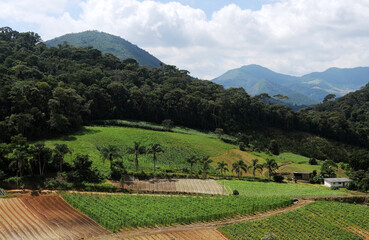 Rio de Janeiro, Brazil, April 4, 2024.Vegetable plantation in the mountainous region of the city of...