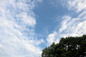 clouds with Calm weather over the water. Ocean with clouds on a background of green trees and blue sky