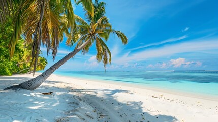 Maldives island beach Tropical landscape of summer scenery white sand with palm trees Luxury travel vacation destination Exotic beach landscape Amazing nature relax freedom nature temp : Generative AI