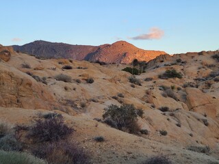 Last light in Joshua Tree National Park, California