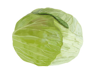 キャベツ（1個）