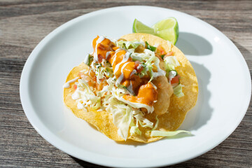 A view of a fish taco.