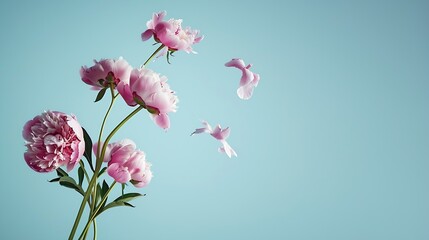 Pink peony flowers flying to beautiful bouquet on light blue background : Generative AI