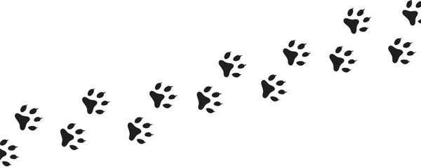 Dog or cat paw print set. Paw foot trail print of animal. © AdityasStd
