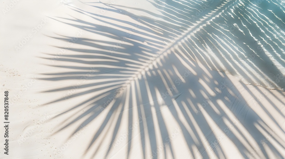 Poster palm leaf shadow on abstract white sand beach background sun lights on water surface beautiful abstr