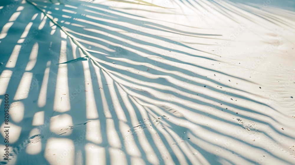 Poster palm leaf shadow on abstract white sand beach background sun lights on water surface beautiful abstr