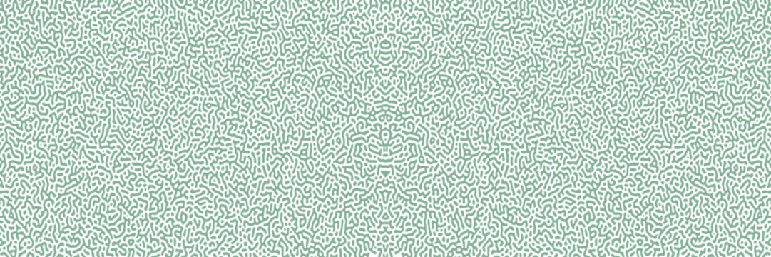 Multiscale turing pattern. Vector illustration of chemical morphogenesis concept. Curvy doodle labyrinth. Turing reaction diffusion monochrome seamless pattern with directional motion. Vector 