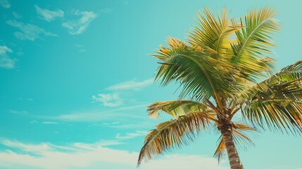 Summer palm tree  and Tropical beach with blue  sky background : Generative AI