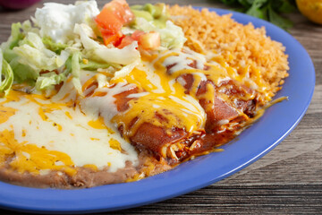 A closeup view of a plate of enchiladas.