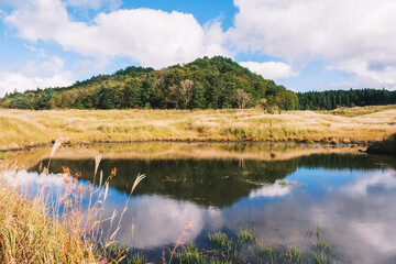 A hill of pampas grass that heralds the arrival of autumn【Tonomine Highland】