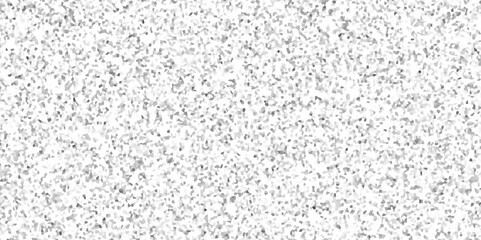 Obraz premium Abstract black and white speckled texture, Quartz surface white for bathroom or kitchen countertop. stone pattern old surface marble for background.