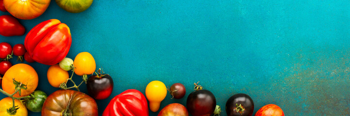 Multi-colored bright ripe tomatoes on an emerald green background, different types of tomatoes, summer harvest from the garden, top view, banner