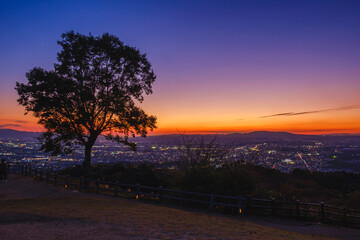 A mountain that offers a panoramic view of the charming city of Nara filled with Japanese history【Mt. Wakakusa】