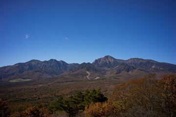 紅葉の八ヶ岳を望む
