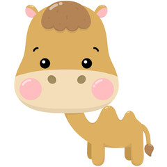 Camel desert animal 
