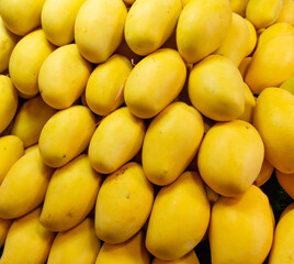 Fresh yellow mango as background