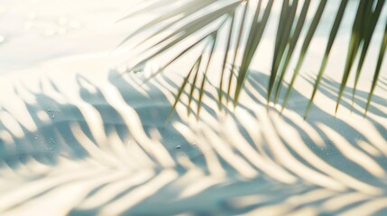 Fototapeta premium palm leaf shadow on abstract white sand beach background sun lights on water surface beautiful abstract background concept banner for summer vacation at the beach : Generative AI