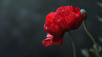 Obraz premium closeup flower : Generative AI