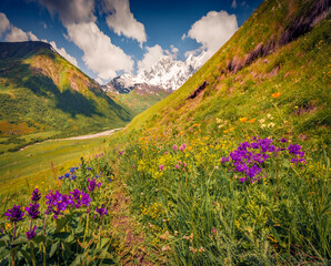 Trekking in Caucasus mountains. Splendid summer view of green hills in Upper Svaneti, Georgia, Europe. Colorful morninf scene of snowy mountain peak. Beauty of nature concept background..