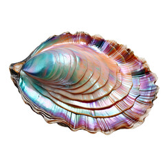 Fototapeta premium A beautifully iridescent shell displaying vibrant colors and intricate patterns, on a Transparent background