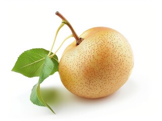 Juicy Chinese Pear Standing Tall: A 4:3 Aspect Ratio Shot on White Background