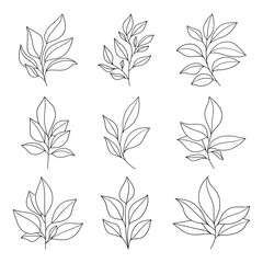 Set of branch and leaves vector