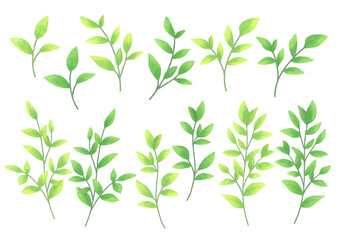 緑の葉っぱの手描きイラスト　ベクター素材セット　春や夏の鮮やかな植物　デザイン用の装飾