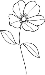 Poppy flower line art element vector