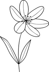 Botanical flower line art element vector