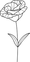 Peony flower line art element vector