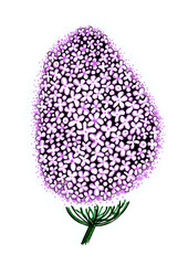 Stylized illustration of lilac flower isolated on white background. Black outline. The details are painted in soft purple. Green shoot. A flower consists of many small flowers.
