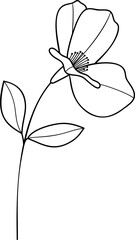 Botanical flower line art element vector