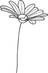 Daisy flower line art element vector