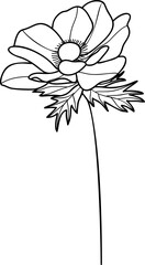 Poppy flower line art element vector