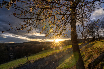 Landschaft mit Baum und Sonnen im Mittelgebirge im Herbst und Winter bei Floh-Seligenthal