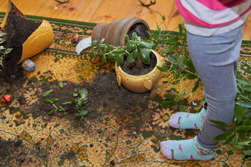 child broke the flower pots, children's mischief, the child broke flower pots in the room