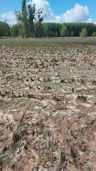 Apr&egrave;s les inondations en Charente