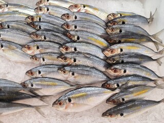 Yellow Stripe Trevally, fresh fish on the market