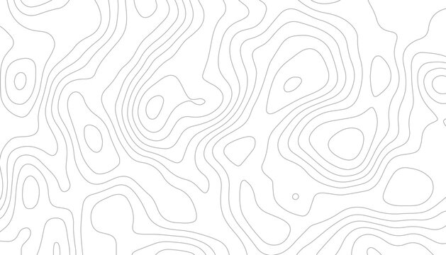 Background of the topographic map. Topographic map lines, contour background. Black and white abstract background.