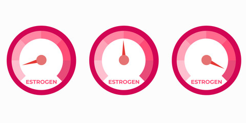 Estrogen level meter. Vector illustration.