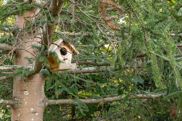 A bird's nest hanging on a tree branch in Atatürk Arboretum.