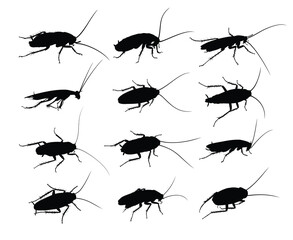 Set of silhouettes of cockroaches.
