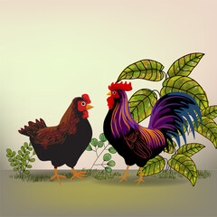 Set of chicken, rooster, hen, poultry farm animal set collection hand drawn vector illustration. Livestock pet domestic animal.